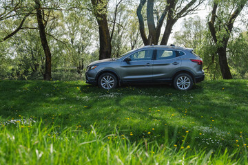 a gray car is standing in nature among the trees