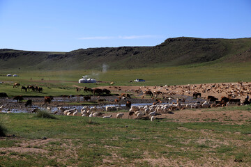 Fototapete bei efototapeten.de bestellen   