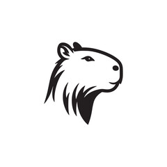 photos of the capybara or greater capybara, the largest living rodent, capybara illustrations and vectors for prints and publications, capybara graphic resources