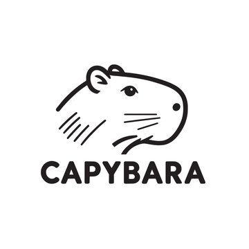 photos of the capybara or greater capybara, the largest living rodent, capybara illustrations and vectors for prints and publications, capybara graphic resources