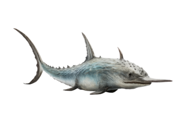 Narwhal Arctic Waters on a White or Clear Surface PNG Transparent Background