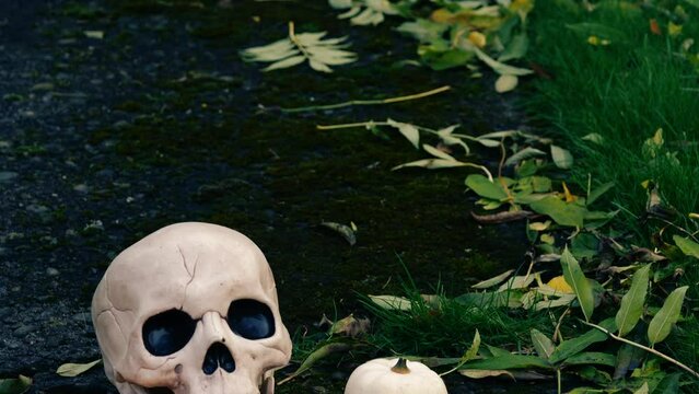 Halloween pumpkin and creepy skull in autumn 