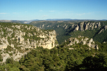 gorges de la Jonte, Occitanie, Lozère, 48, Parc naturel régional des Grands Causses, France
