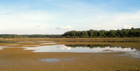 Parc Naturel Régional des Grands Lacs , Lac du Der ,Chantecoq,  Marne, Haute Marne, 51, 52, France
