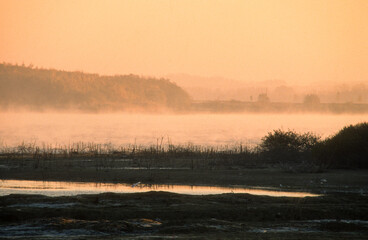 lever du jour, Parc Naturel Régional des Grands Lacs , Lac du Der ,Chantecoq,  Marne, Haute Marne, 51, 52, France
