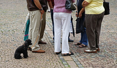 meeting point