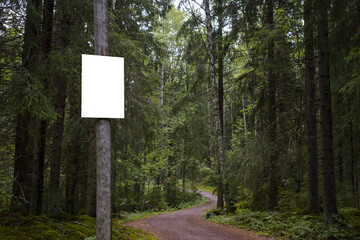 Empty white sign next to a gravel path in a forest.