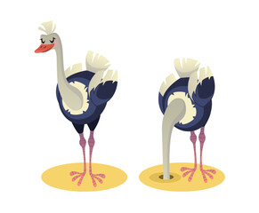 Ostrich buried his head in sand. Jungle or zoo bird in horror and despair, wildlife animal. African savannah character. Cartoon flat isolated illustration on white background. Vector concept