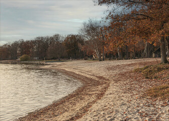 Curved beach on a lake in the autumn