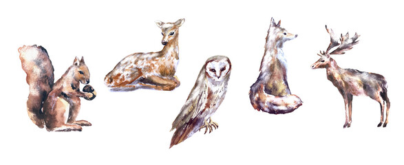 watercolor animals set squirrel, fox, deer, owl, elk mammal winter set