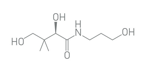 Skeletal formula of Panthenol. Chemical structure of Panthenol (C9H19NO4). Chemical resources for teachers and students. Vector illustration isolated on white background.