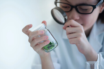 Cute student girl in a lab coat uses a magnifying glass to look at plants grown in glass bottle from tissue culture