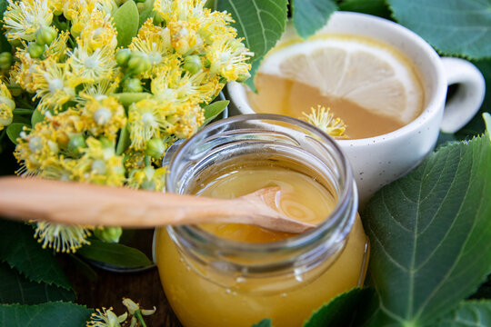 linden tree branch and inflorescence of linden flowers, cup of herbal linden tea with lemon slice and honey. Flu treatment and prevention of immune, alternative medicine 
