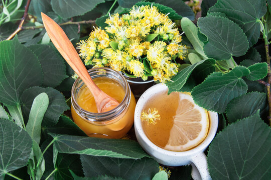 linden tree branch and inflorescence of linden flowers, cup of herbal linden tea with lemon slice and honey. Flu treatment and prevention of immune, alternative medicine 
