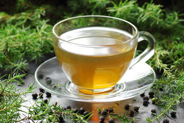 Juniper tea or medical drink with spruce and berries on black background, copy space, green...