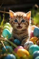 Fototapeta na wymiar Cute kitten in green grass with painted eggs, sunny day, egg hunt, Happy Easter banner background
