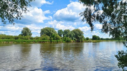 Willows grow on the river bank, their branches overhanging the water. On the opposite grassy bank there are bushes and trees. There are ripples on the water. Summer sunny weather and blue sky
