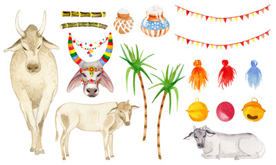 Indian traditional holy cow and yellow, orange marigold flowers, leaves and buds. Indian festival Diwali floral decorations. Clipart. Pongal. Watercolor artistic illustration on a white background.