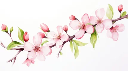 Gordijnen watercolor cherry blossom , frame watercolor illustration © Maryna