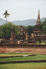 Fototapeta premium Buddhist temple surrounded by the jungle in the historical archaeological site of Sukothai in the morning light.