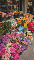 flower market