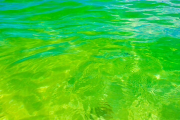 Waves at tropical beach caribbean sea clear turquoise water Mexico.