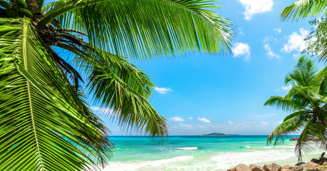 Palm trees by the sea in a tropical beach on a sunny day
