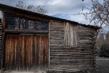 Cabin in the Woods