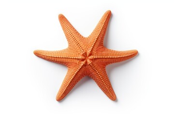 Starfish or sea star isolated on white background with clipping path.