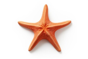 Starfish or sea star isolated on white background with clipping path.