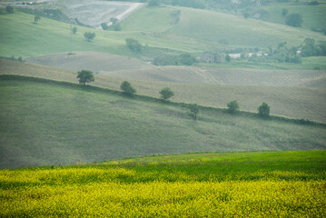 Fototapeta na wymiar Lucania summer countryside landscape, Val D'Agri, Basilicata, Italy