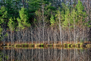 Obraz premium Lake reflections in winter