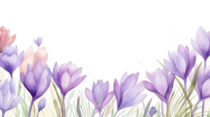 Badkamer foto achterwand spring season delicate frame with purple crocus flowers,white background © Maryna