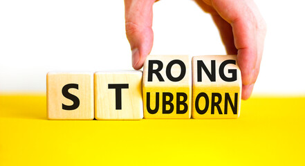 Strong and stubborn symbol. Concept words Strong Stubborn on wooden block. Beautiful yellow table white background. Businessman hand. Business strong and stubborn concept. Copy space.