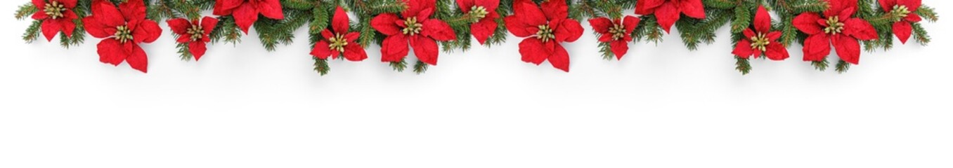 Merry Christmas garland made of fir branches and holiday red flowers on white background. Happy New Year and Xmas, top view, wide banner