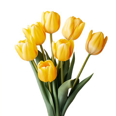 Naklejka premium yellow tulips isolated on white, PNG