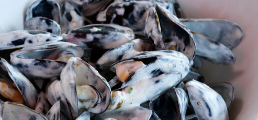 seafood mussels on pan with cream sauce. restaurant food 