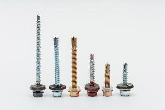wood screws on a white background. metal screws on a light background. various screws and self-tapping screws lined up in a photo studio
