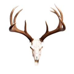 Photo sur Plexiglas Cerf deer head on transparent background PNG