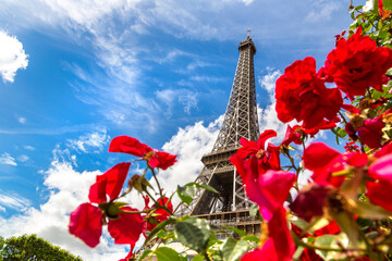 The Eiffel Tower and red roses in Paris, France in a sunny summer day