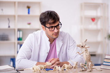 Young male paleontologist examining ancient animals at lab