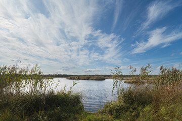 Nature of Estonia, forest lake on the Seli swamp with cirrus clouds.