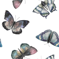 Graphic drawing of butterflies, seamless botanical pattern, flying insects