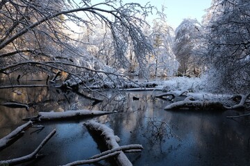 Beautiful winter scenery of forest around Straszynskie Lake in Kashubia, Poland