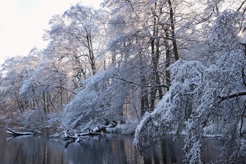 Beautiful winter scenery of forest around Straszynskie Lake in Kashubia, Poland