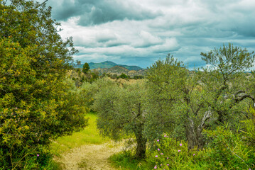Fototapeta na wymiar Lucania summer countryside landscape, Val d'Agri, Basilicata, Italy