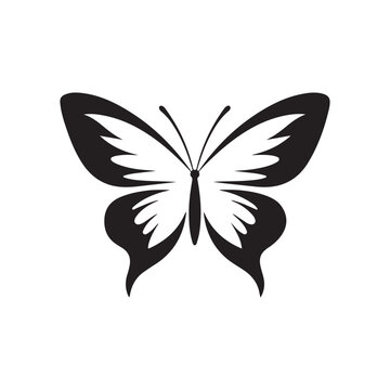 Butterfly Vector Images, Butterfly silhouette vector