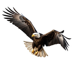 Beautiful flying eagle on transparent background PNG. American Eagle in flight.
