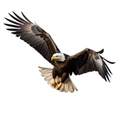 Fotobehang Beautiful flying eagle on transparent background PNG. American Eagle in flight. © PNG for U