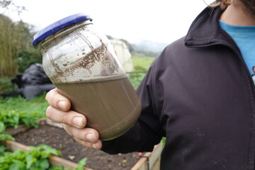 gardener holds jar of bleach ash for use in the vegetable garden as fertilizer and insecticide.